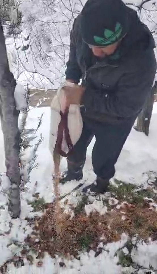 Гузаронидани корҳои биотехникӣ