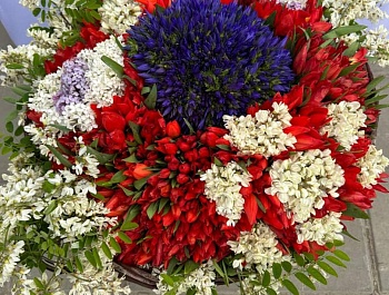 Фестивали “Сайри гули лола” дар боғи фарҳангию фароғатии ба номи Абулқосим Фирдавсии шаҳри Душанбе