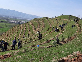 Маъракаи ниҳолшинонӣ дар шоҳроҳи Душанбе-Ваҳдат