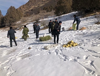 Бо хӯрока таъмин намудани ҳайвоноту паррандагони кӯҳӣ