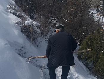 Корҳои биотехникӣ дар Муассисаи давлатии хоҷагии ҷангали шаҳри Ҳисор