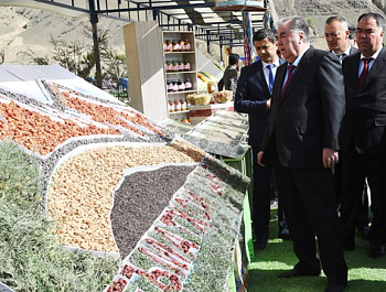 Ба истифода додани хати оби полезӣ ва бунёди боғи интенсивӣ дар мавзеи дашти Қозии деҳоти Ёрии шаҳри Панҷакент