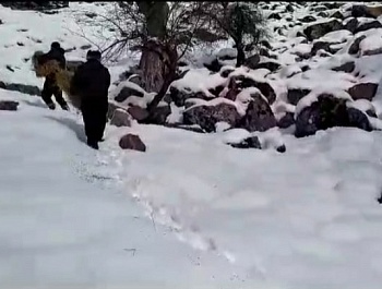 Иҷрои корҳои биотехникӣ