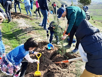 Маъракаи ниҳолшинонӣ дар шоҳроҳи Душанбе-Ваҳдат