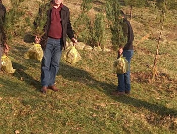 Идомаи корҳои ниҳолшинонӣ дар шаҳру ноҳияҳои ҷумҳурӣ