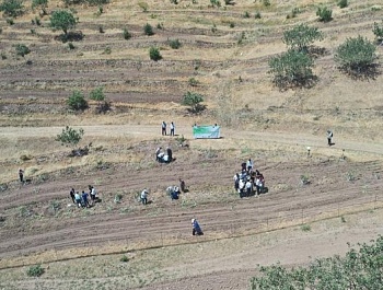 Семинари омӯзишӣ дар мавзӯи “Омӯзиши усулҳои ташкили боғҳои саноатии писта дар асоси ҷангалҳои худрӯй ва аз тухмӣ рӯида”