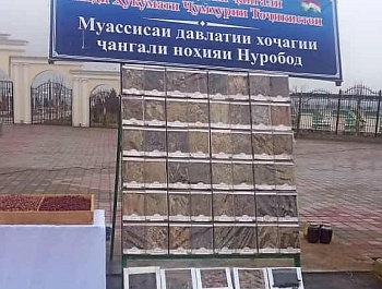 Таҷлили Иди Сада