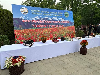 Фестивали “Сайри гули лола” дар боғи фарҳангию фароғатии ба номи Абулқосим Фирдавсии шаҳри Душанбе