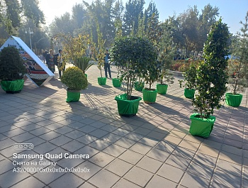 Ҷашн гирифтани Иди Меҳргон аз ҷониби кормандони Агентии хоҷагии ҷангали назди Ҳукумати Ҷумҳурии Тоҷикистон