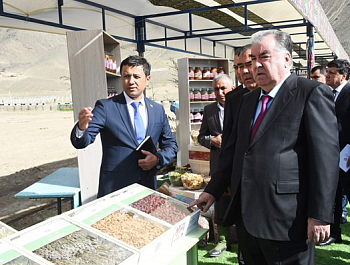 Ба истифода додани хати оби полезӣ ва бунёди боғи интенсивӣ дар мавзеи дашти Қозии деҳоти Ёрии шаҳри Панҷакент