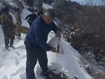 Корҳои биотехникӣ дар Муассисаи давлатии хоҷагии ҷангали шаҳри Ҳисор