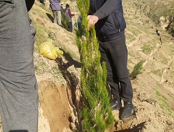 Маъракаи ниҳолшинонӣ дар шафати шоҳроҳи Душанбе-Ваҳдат