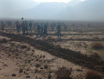 Ҳашари ниҳолшинонӣ