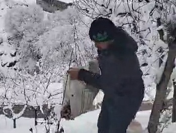 Гузаронидани корҳои биотехникӣ