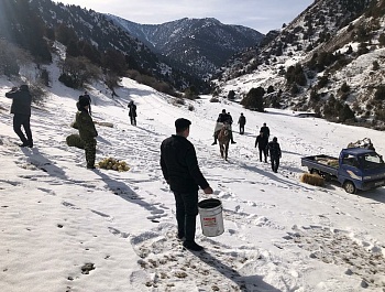 Бо хӯрока таъмин намудани ҳайвоноту паррандагони кӯҳӣ