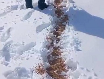 ГУЗАРОНИДАНИ КОРҲОИ БИОТЕХНИКӢ