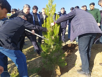 Маъракаи ниҳолшинонӣ дар шафати шоҳроҳи Душанбе-Ваҳдат
