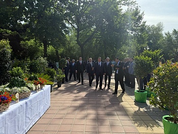 Баргузории фестивали 