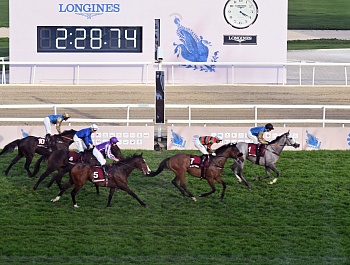 Иштирок дар мусобиқаи ниҳоии Ҷашнвораи аспдавонӣ дар Қатар ва мулоқот бо Амири Қатар   17.02.2024 