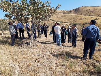 Баргузории семинар – машварати дар мавзуи “Баланд бардоштани маҳсулнокии пистазорҳо тавассути агротехникаи инноватсионӣ ва пайвандгузаронӣ дар Тоҷикистон”