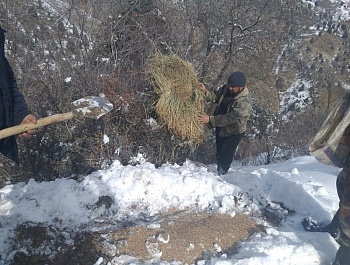 Корҳои биотехникӣ дар Муассисаи давлатии хоҷагии ҷангали шаҳри Ҳисор