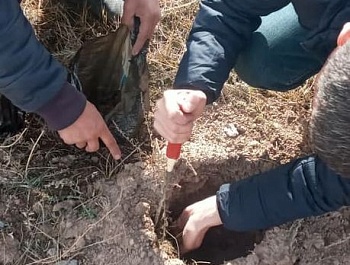 Муайян намудани хок 