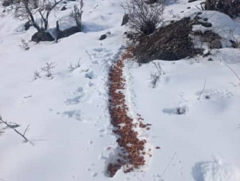 Иҷрои корҳои биотехникӣ