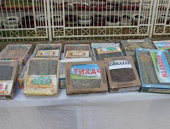 Таҷлили ҷашни Сада дар шаҳри Кӯлоб