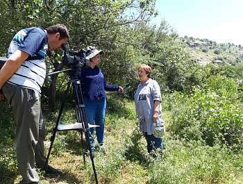 Ҷараёни мавриди таҳлил қарор додани майдони хучзор  