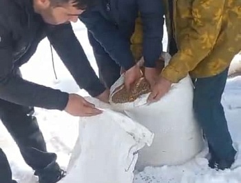 Иҷрои корҳои биотехникӣ