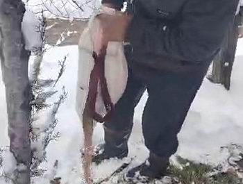 Гузаронидани корҳои биотехникӣ