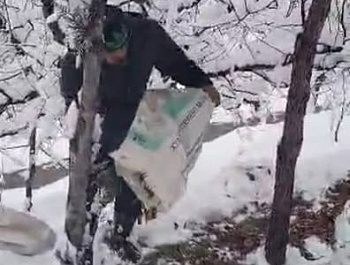 Гузаронидани корҳои биотехникӣ