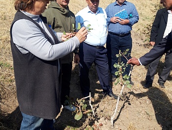 Баргузории семинар – машварати дар мавзуи “Баланд бардоштани маҳсулнокии пистазорҳо тавассути агротехникаи инноватсионӣ ва пайвандгузаронӣ дар Тоҷикистон”