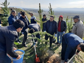 Маъракаи ниҳолшинонӣ дар шоҳроҳи Душанбе-Ваҳдат