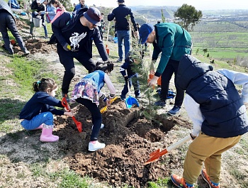 Маъракаи ниҳолшинонӣ дар шоҳроҳи Душанбе-Ваҳдат