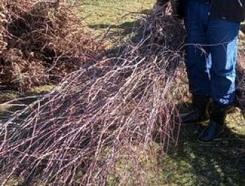 Корҳои бунёду барқароркунӣ