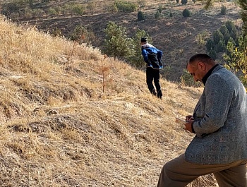 Маъракаи баҳисобгирии сабзиши ниҳолҳо 