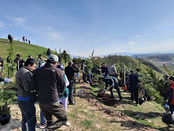 Маъракаи ниҳолшинонӣ дар шоҳроҳи Душанбе-Ваҳдат