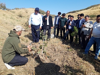 Баргузории семинар – машварати дар мавзуи “Баланд бардоштани маҳсулнокии пистазорҳо тавассути агротехникаи инноватсионӣ ва пайвандгузаронӣ дар Тоҷикистон”