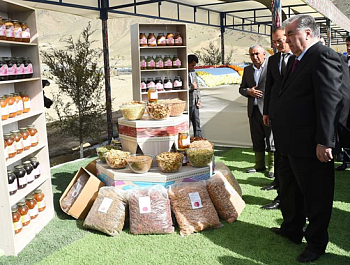 Ба истифода додани хати оби полезӣ ва бунёди боғи интенсивӣ дар мавзеи дашти Қозии деҳоти Ёрии шаҳри Панҷакент