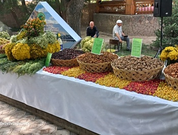 Таҷлили бошукуҳи Ҷашни Тиргон бо баргузории Иди зардолу ва намоиши “Хушкмеваҳои Тоҷикистон” дар шаҳри Душанбе