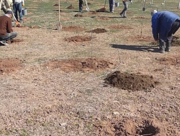 Корҳои бунёд ва барқароркунии ҷангал