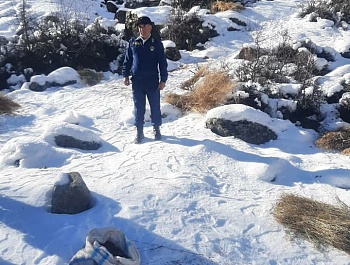 Корҳои биотехникӣ