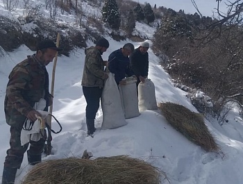 Корҳои биотехникӣ дар Муассисаи давлатии хоҷагии ҷангали шаҳри Ҳисор