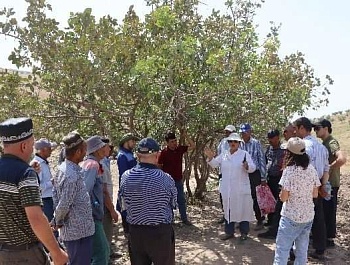 Баргузории семинари омӯзишӣ дар мавзӯи “Идоракунии устувори ҷангалҳои пистазор ва усулҳои баланд бардоштани маҳсулнокии онҳо дар Ҷумҳурии Тоҷикистон” 