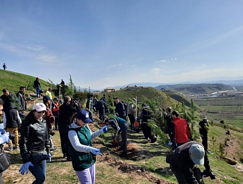 Маъракаи ниҳолшинонӣ дар шоҳроҳи Душанбе-Ваҳдат