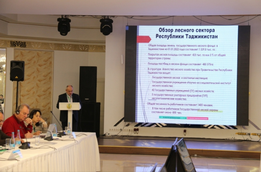 Workshop in Almaty, Republic of Kazakhstan, on a sustainable future with forests Workshop in Almaty, Republic of Kazakhstan, on a sustainable future with forests