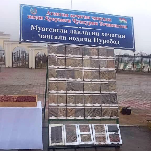 Празднование Сада