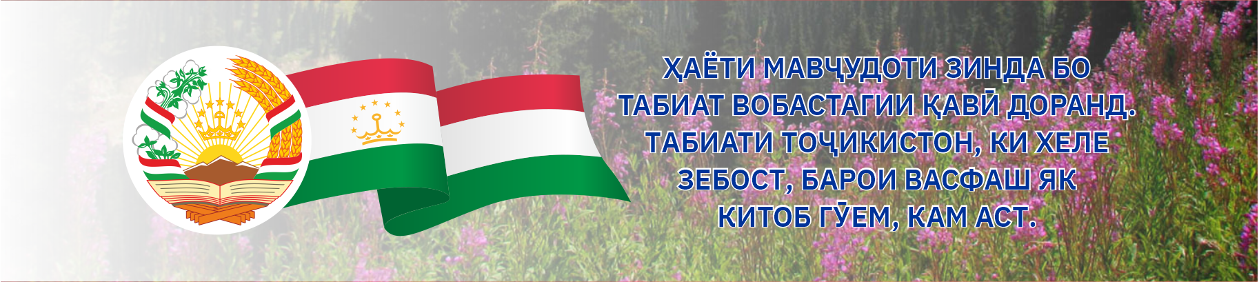 слайд слайд