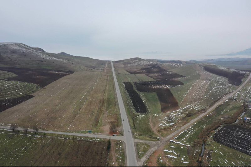 Photo from the future paulownia plantation from Korean Forest Service side